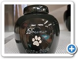 Dreamer - Name and paw print