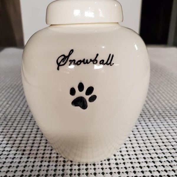 Snowball - Personalized single paw